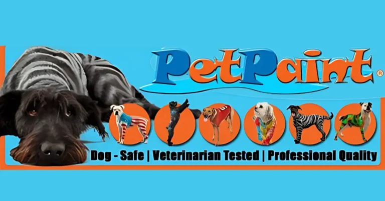 PetPaint Shark Tank Update