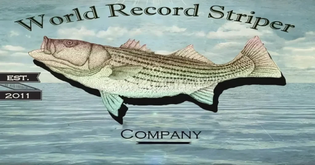 World Record Striper