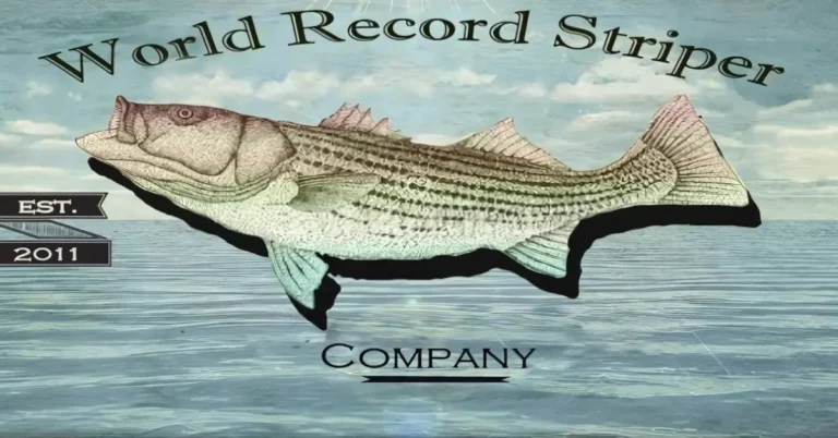 World Record Striper
